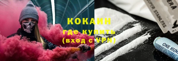 индика Арсеньев