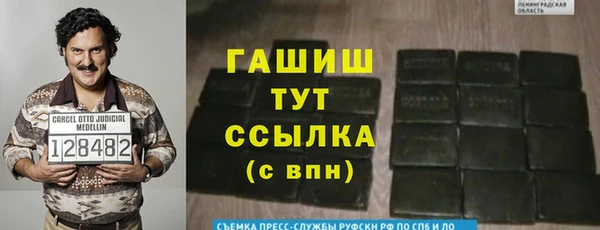 индика Арсеньев