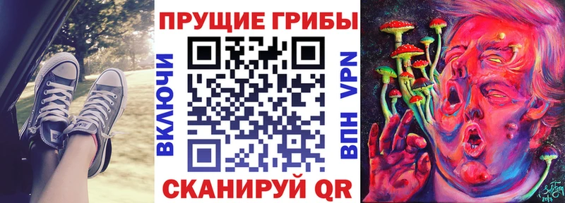 дарнет шоп  Калязин  Псилоцибиновые грибы прущие грибы 